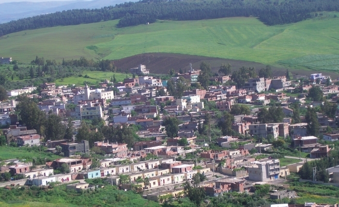 سليانة