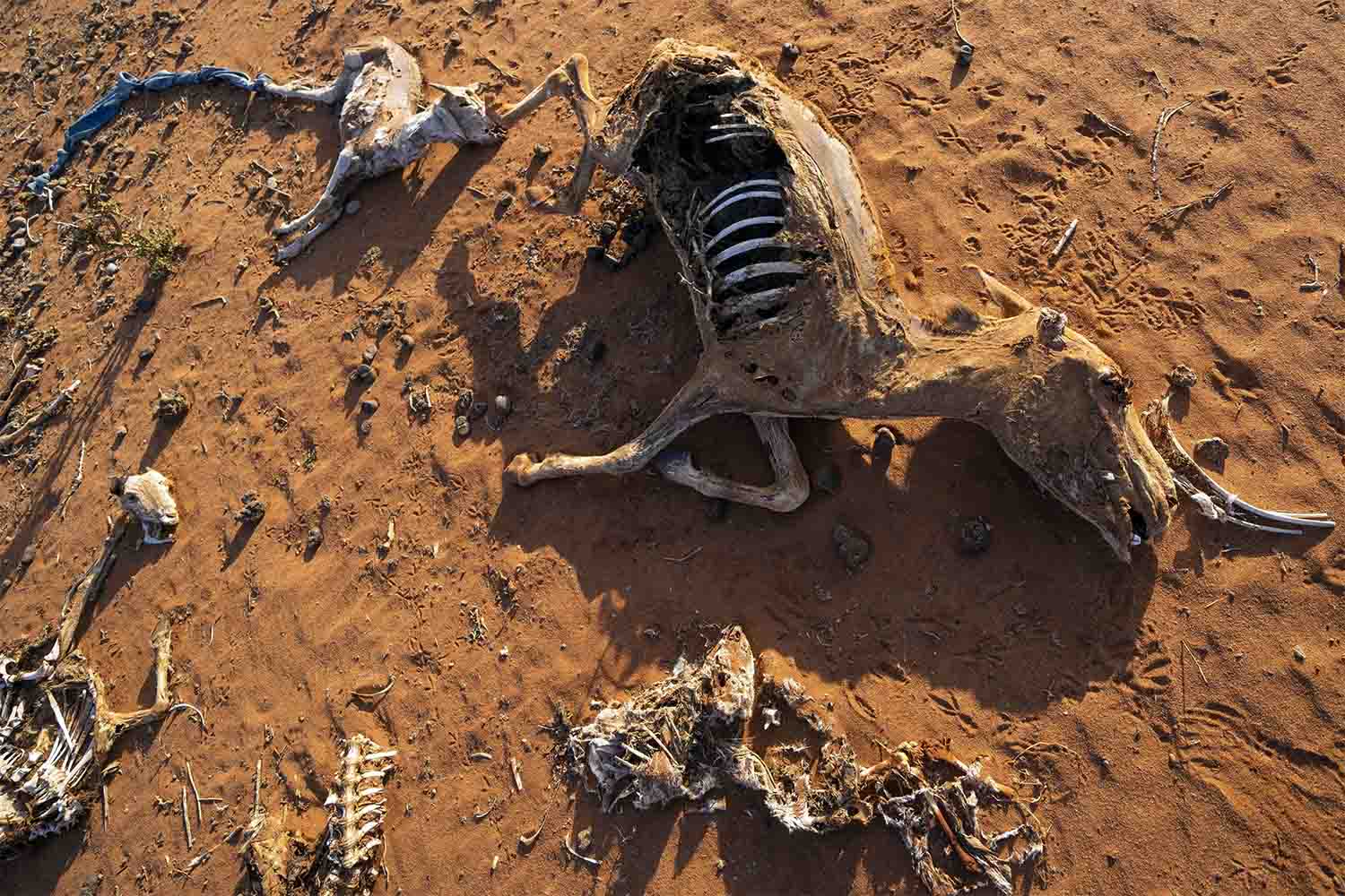 The drought has deepened alarmingly
