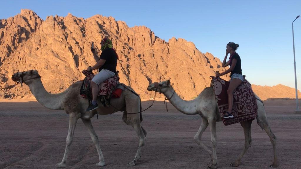 جمال أسوان