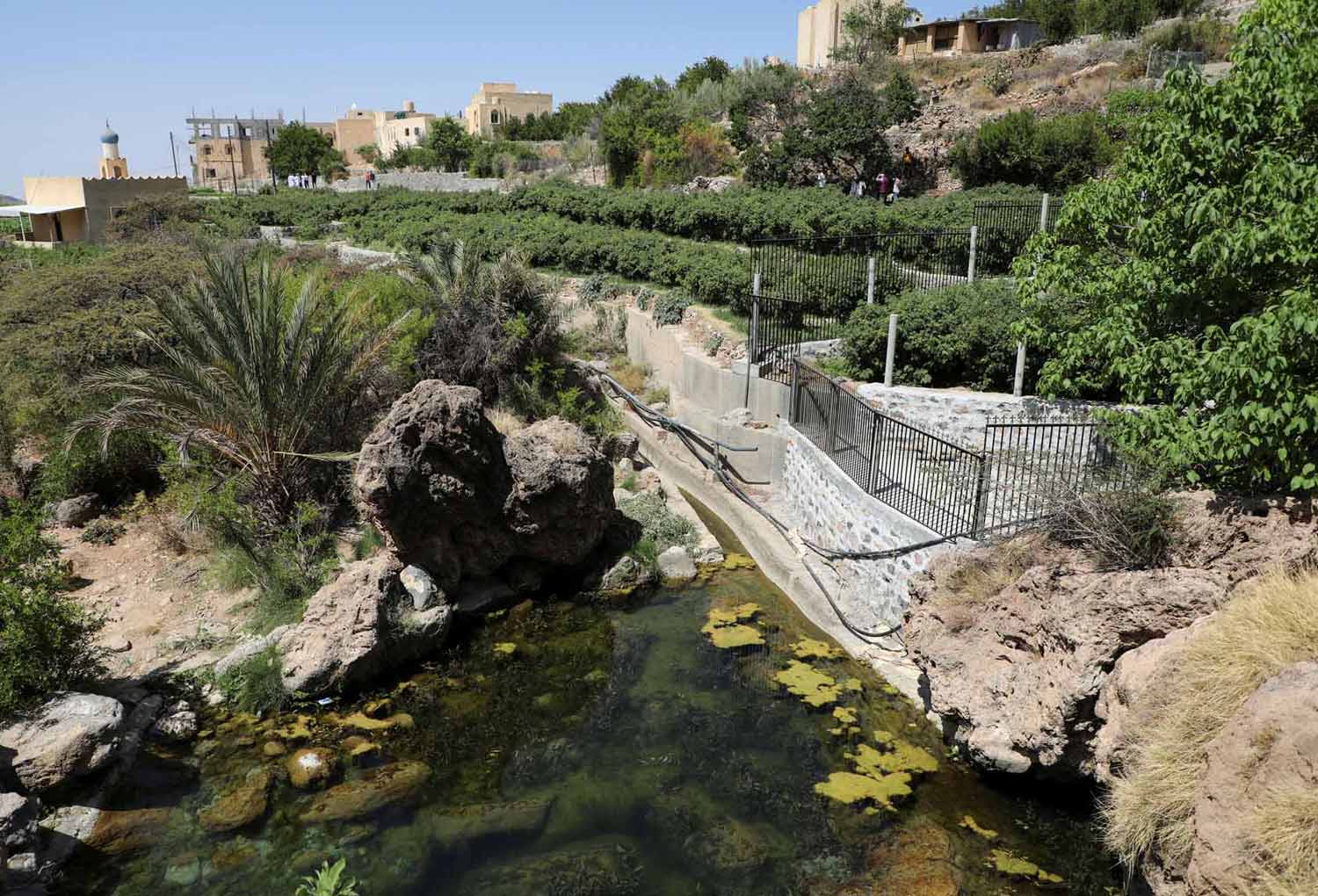 A living cultural landscape