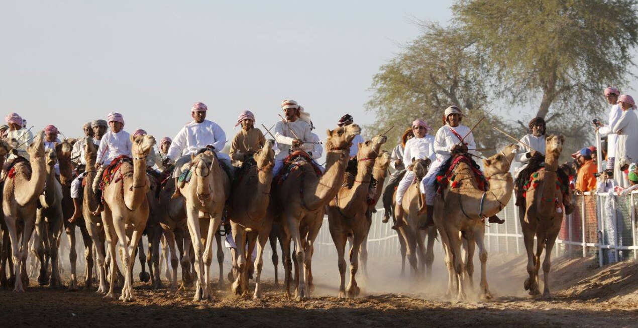 مهرجان الفروسية