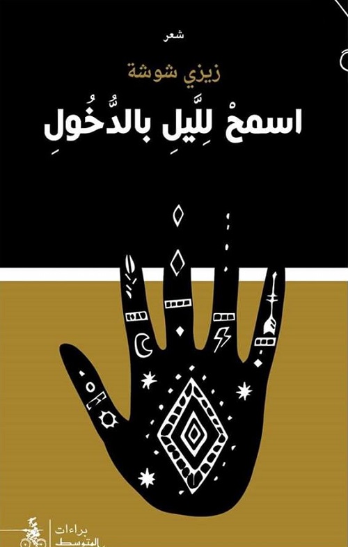 زيزي شوشة