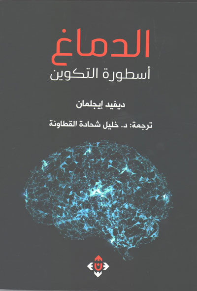 الدماغ هو المسؤول عن مكونات الهوية للإنسان