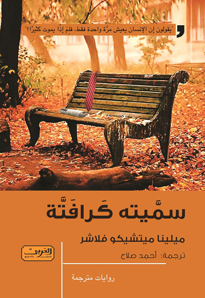 Austrian novel