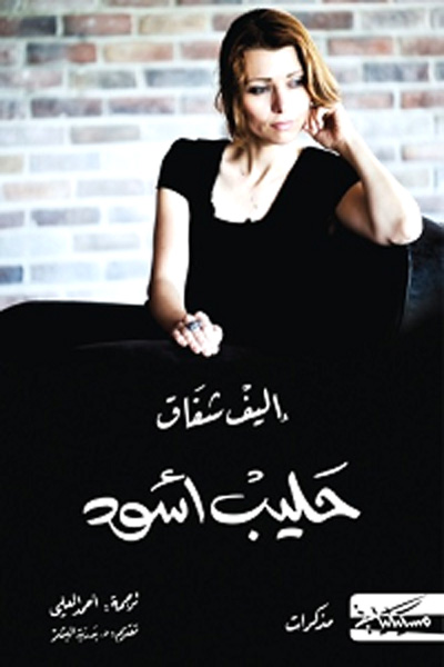 novel