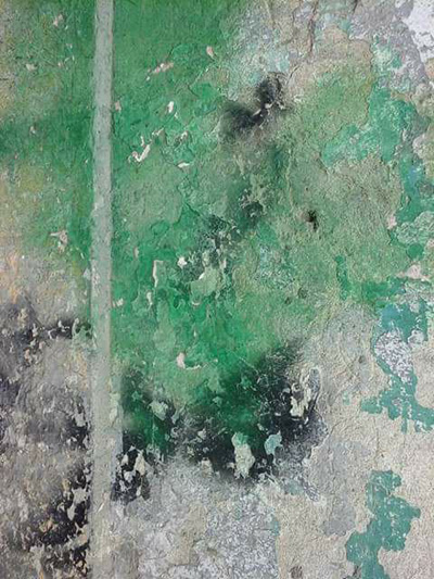 fine arts