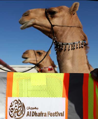 قسم الفردي 