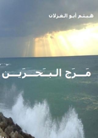 The Palestinian Novel