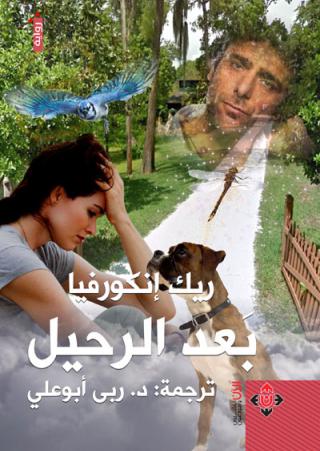 translation