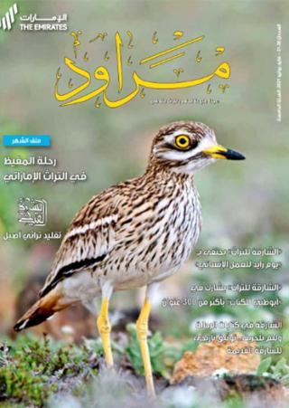 magazine