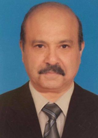 د.عادل مصطفى  