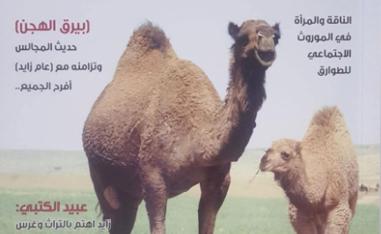 أدب الإبل