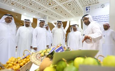 دعم الفعاليات البيئية والتراثية