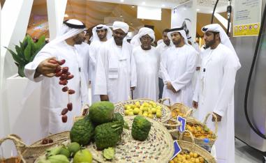 بلدية العين ترسخ الوعي البيئي لدى جمهور المهرجان