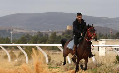 Of the 8,500 horses that Syria registered with the World Arabian Horse Organization (WAHO) in 2011, it has lost 3,000 in the war