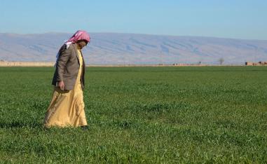 أبوعناد: تركنا الأرض خوفا على أرواحنا