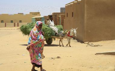 A woman walks in the village of deposed Sudanese president Omar al-Bashir, Hosh Bannaga, some 170 kilometres (105 miles) north of the capital Khartoum