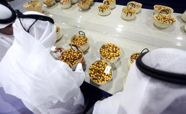 المهرجان ينطلق بفعاليات متنوعة 