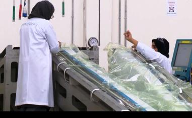 إمارتيتان يتميزان في صناعة هياكل الطيران