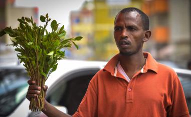A vendor holds up a handful of khat twigs as he calls for buyers at a road side in an area known as 'Little Mogadishu' in Addis Ababa