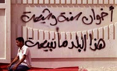 التنوع هو سنة بشرية كونية لا يمكن إنكارها