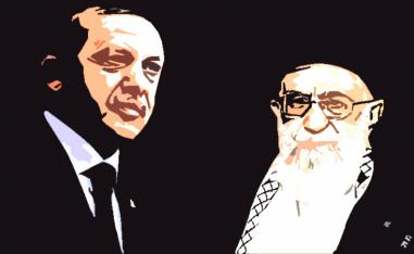 جُنّ جنون أردوغان عندما رأى الشعب المصري يملأ الشوارع والساحات مطالبًا بإسقاط الإخوان