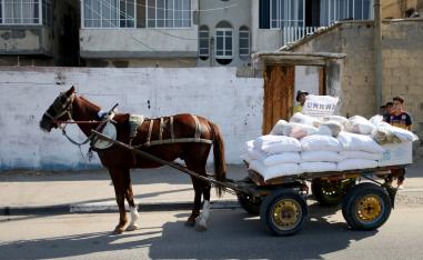 A Palestinian worker carries food supplies distributed by UNRWA at Al-Shati refugee camp in Gaza City