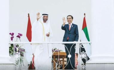 توسع كبير بالاستثمارات الإماراتية في شرق آسيا