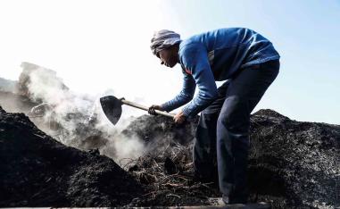 The site in Inshas, in the fertile Nile River delta north of the Egyptian capital, employs dozens of men