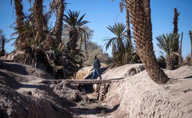 Skoura oasis