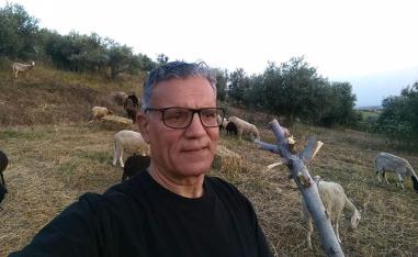 تنويع تشكيلي