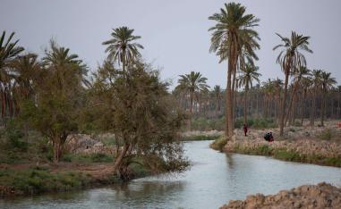 نهر شط العرب بالبصرة