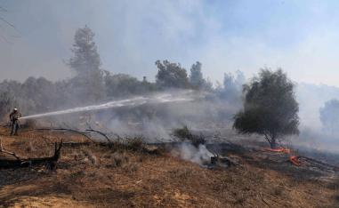 البالونات الفلسطينية الحارقة تلحق أضرارا بمزارع إسرائليلية عدة