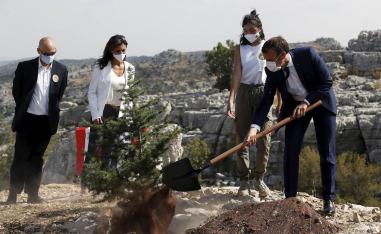 Macron marked Lebanon's centenary by planting a cedar tree
