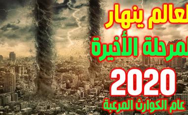 بومةُ مينيرفا  