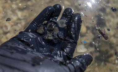 The ecological disaster has caused extensive damage and forced the closure of beaches and a ban on the sale of seafood from the Mediterranean