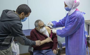 التلقيح في مصر