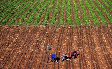 The fruit and vegetables trade is worth $24 million annually