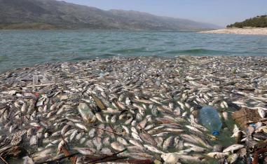 Qaraoun Lake