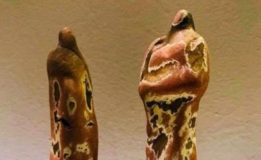 كفاءات عربية