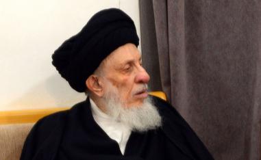 محمد سعيد الحكيم التزم بمبادئ المدرسة الفقهية الشيعية العراقية التي تناهض ولاية الفقيه