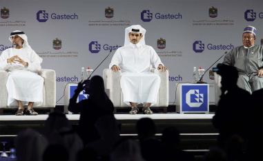 Regional energy leaders expressed skepticism about the frenzied push to eliminate carbon emissions 
