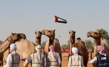 Al Dhafra Festival aspires to preserve the cultural heritage of Abu Dhabi 