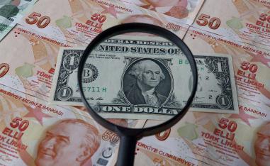 The lira lost 47% of its value against US dollar this year