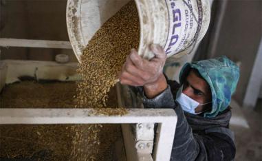 Wheat prices have jumped by around 20%
