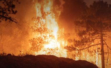 Three firefighters were killed while trying to extinguish the fire that spread to Cabo Negro