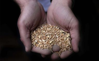 Food prices surged after Russia's invasion of Ukraine last year on fears of disruptions to Black Sea trade