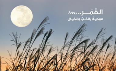 'القوافي'