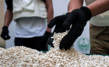 سوريا تحوّلت خلال السنوات الماضية إلى مركز لإنتاج وتهريب الكبتاغون