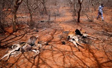 African countries are increasingly exposed to the impact of extreme weather linked to climate change